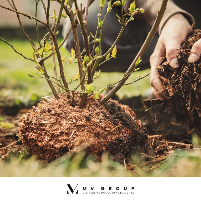 SC_Rennes's tweet photo. [#VeilleRSE] ♻️ 1000 arbres plantés par @MVGroup_ avec @EcoTree_contact pour compenser l'empreinte #carbone de la construction de son siège social #DigitalPark à Cesson-Sévigné.
➡️https://t.co/Cn7uufGUE6 https://t.co/GS7GroZQU6