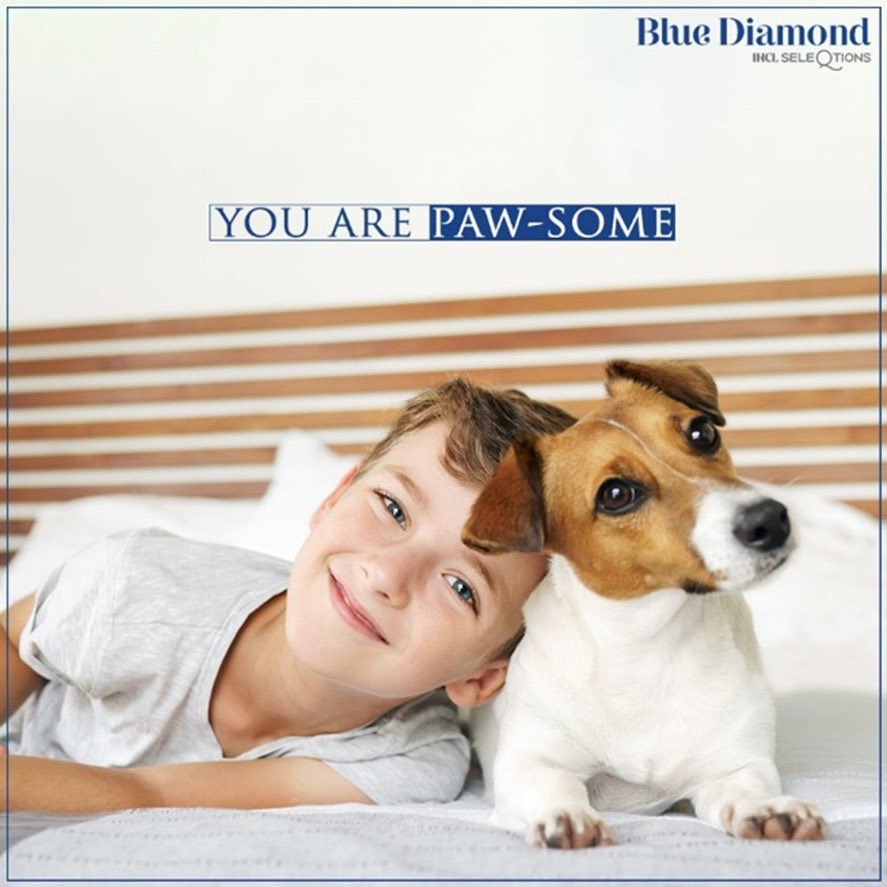 Go ahead and book your purr-fect staycation with your PAWsome buddy only at Blue Diamond Pune.#BlueDiamondPune #SeleQtions #NotJustAnotherHotel #PuneCity #PetFriendly #PetFriendlyHotel #Pawcation