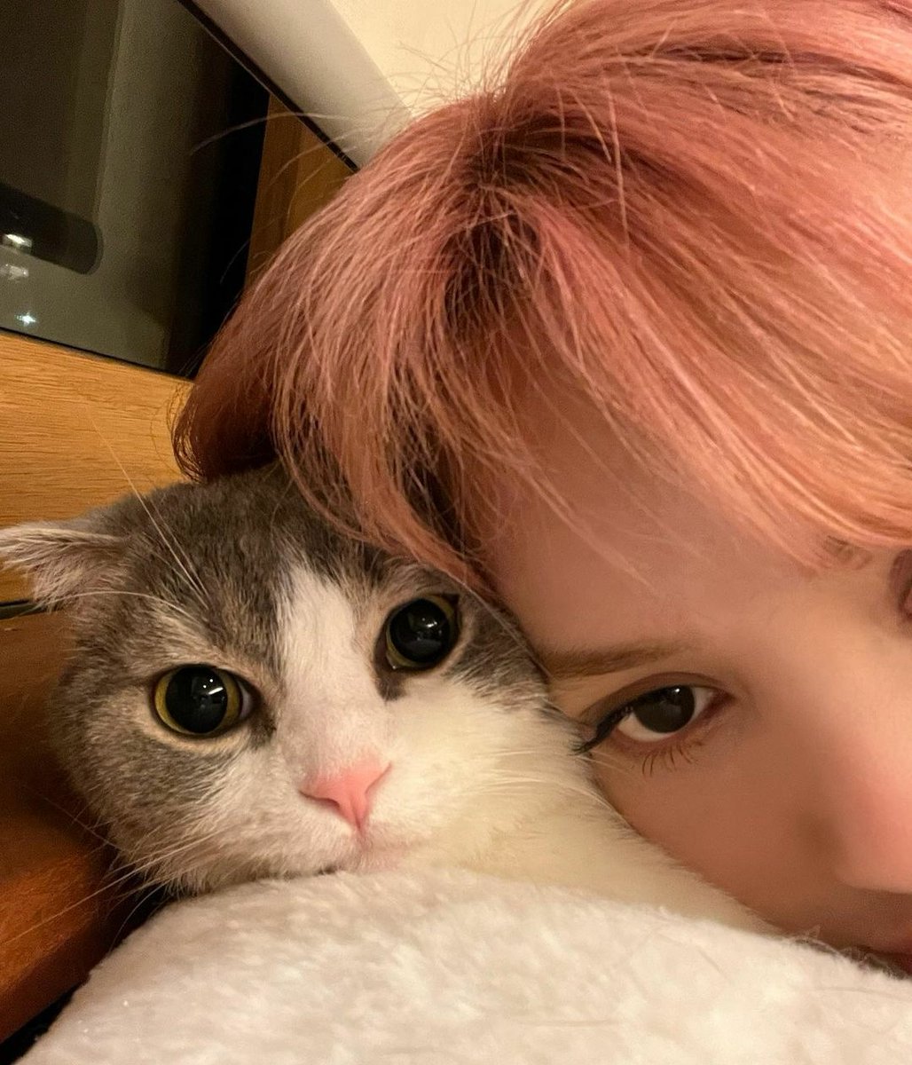TeamLisaEU's tweet photo. lalala_lfamily instagram update:

🔗 https://t.co/cSxXQ8iCft

블랙핑크 리사 #LISA #리사 #BLACKPINK #블랙핑크 #LALISA @BLACKPINK https://t.co/gfjTcfov0s