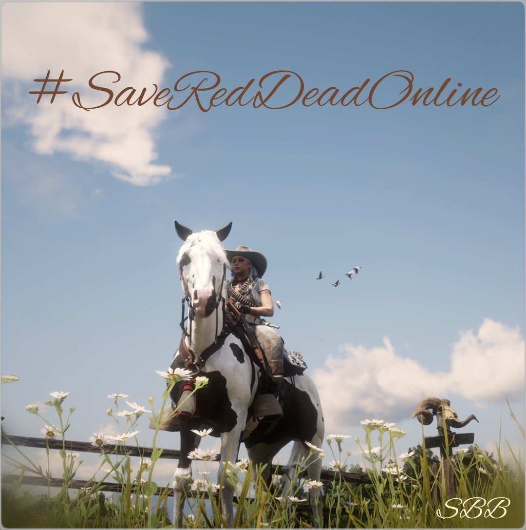 kimi_springer's tweet photo. #SaveRedDeadOnline 
#Saveredeadonline https://t.co/Fdftt49jZD