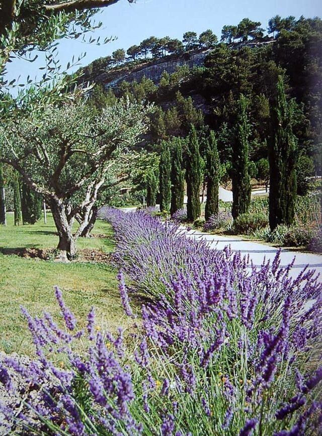 genperisi's tweet image. uyudum uyandim unuttum sanmayin @BurhaniyeBld @herkesicinCHP Burhaniye'de zeytinligi AVM yapmaktan vazgecmek zorundaniz. istihdam projesi diye tezgahtarligi bize yutturamazsiniz. beton degil boyle seyler hayal ediyoruz, dusunmek istersiniz.
@chpilbalikesir
@kilicdarogluk