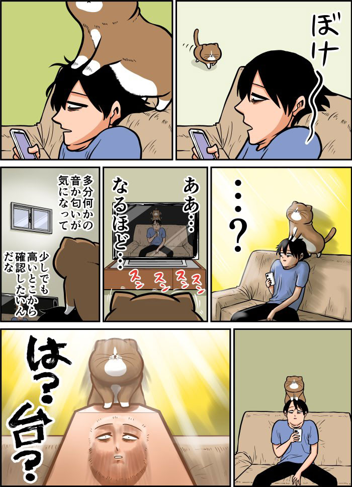 飼い主に励ましの声 猫の行動の数々に「人を人として見ていない」 https://t.co/FIPSvDBHZp @grapeejpより 