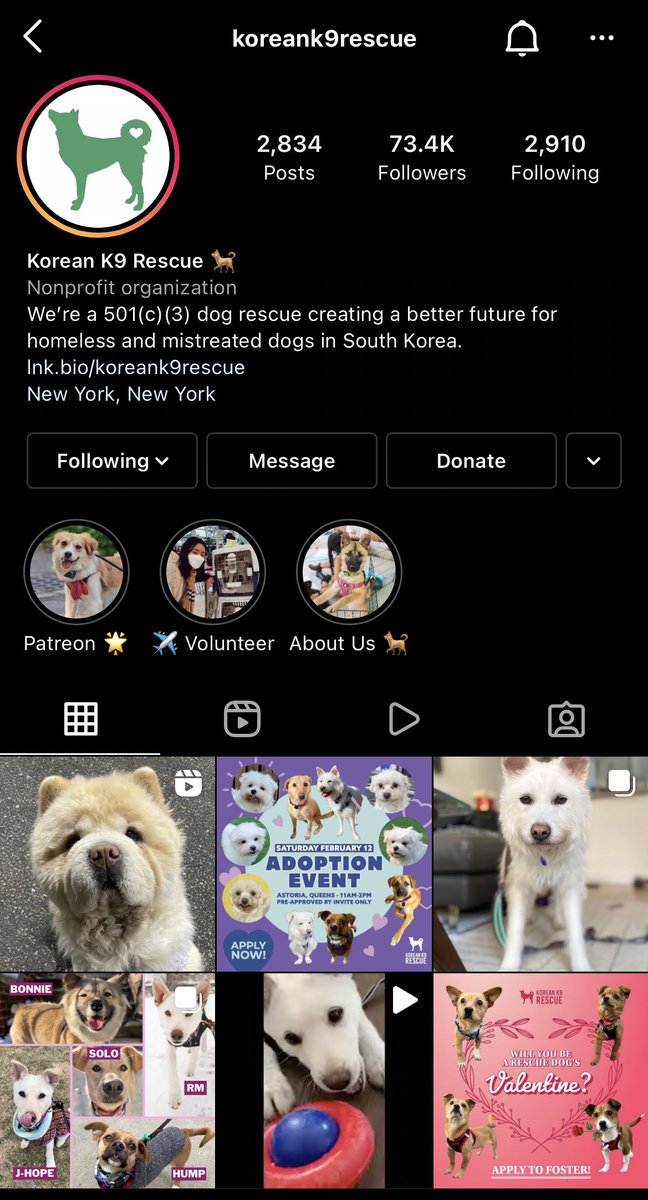 thehobiprint's tweet photo. A dog has been recently rescued in jeonju, korea and they named him j-hope! He has been adopted and now living in new york ♡ #pawsforhobi #petsforhobi https://t.co/QBRVZS0x3M