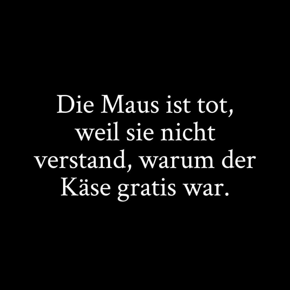 Heilbutt84's tweet image. So ist es...