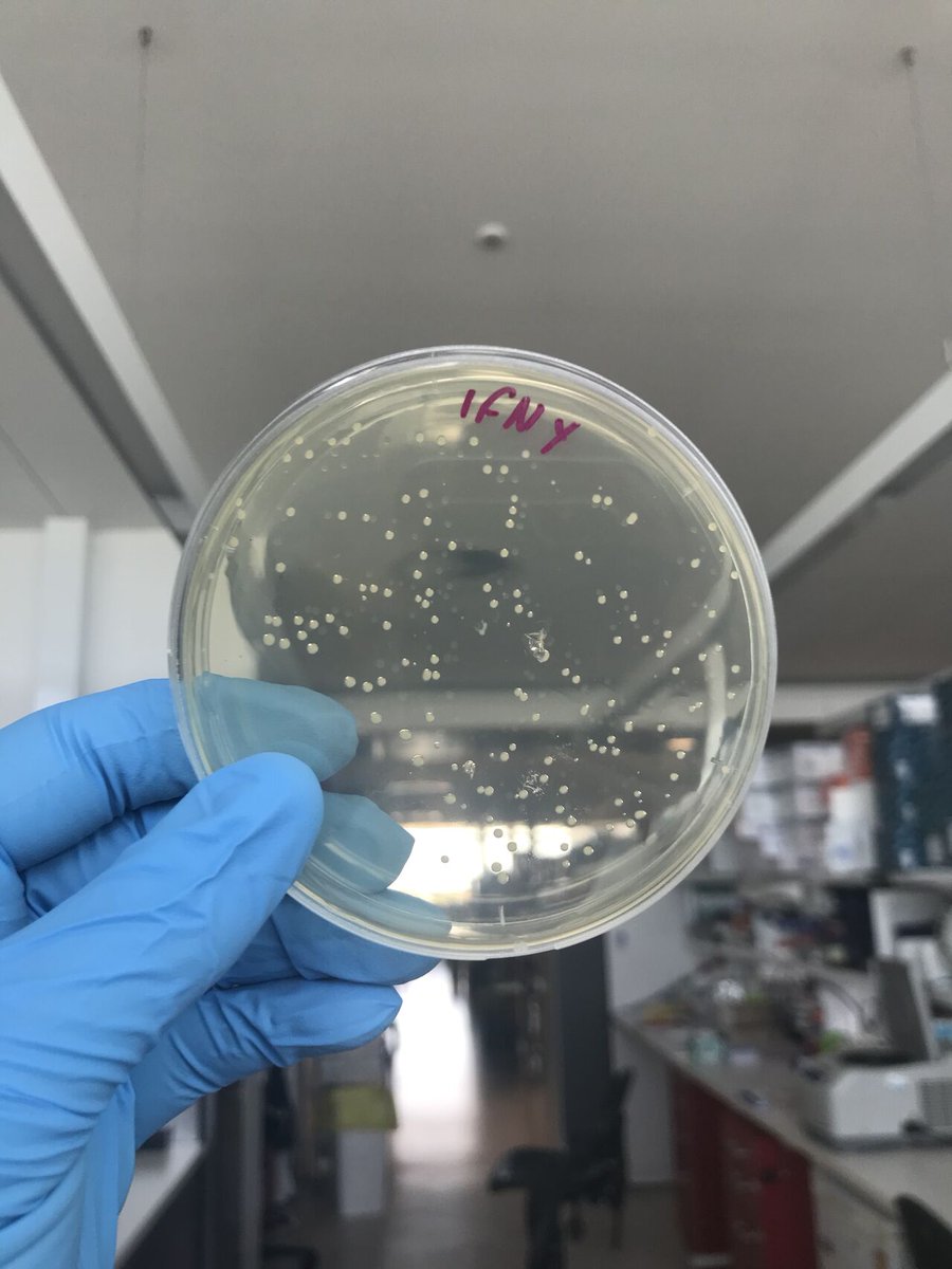 BioZoneUWA tweet media