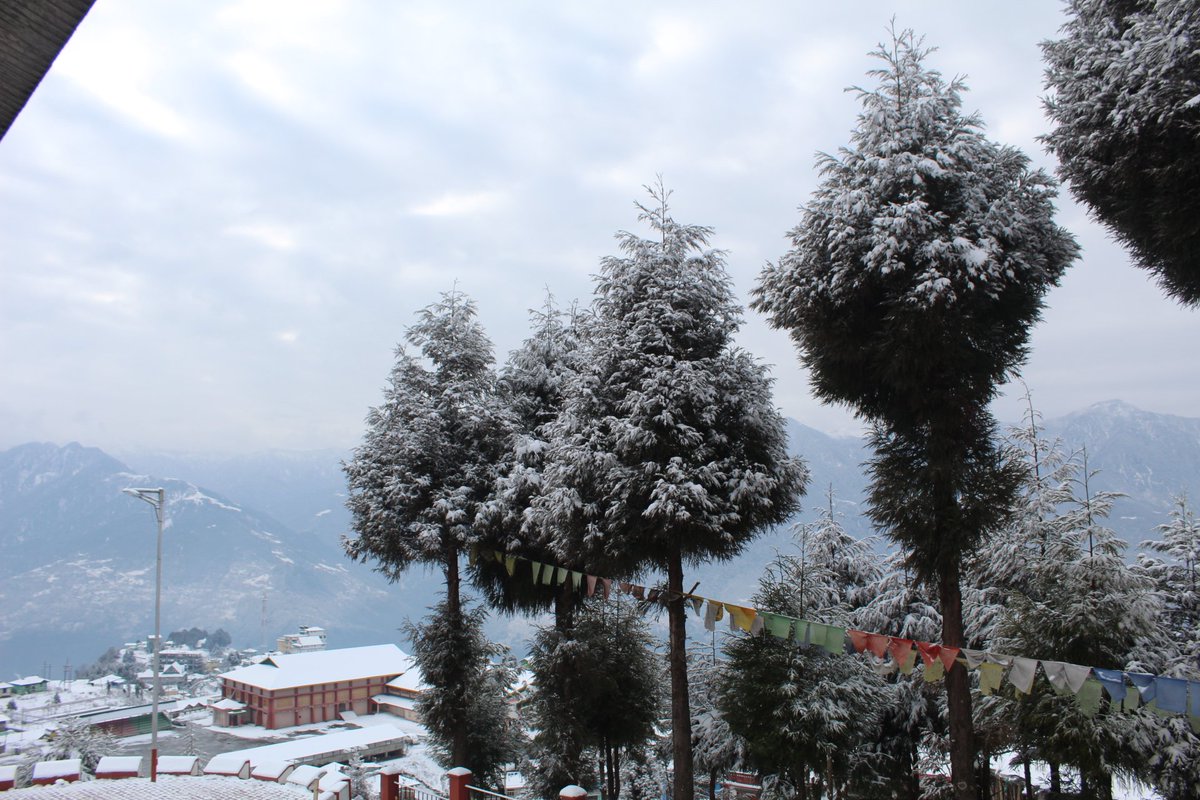 PhilYania's tweet photo. Straight from my bedroom where I stayed for three days at Tawang Circuit House. https://t.co/iSZJ4Yy3Yg