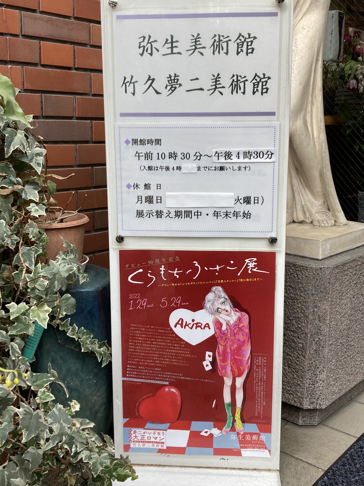もりたゆうこ ワイルド ファミリー 発売中 Yuko Morita Twitter