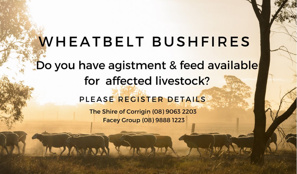 WAFarmers - Paddock to Parliament tweet media