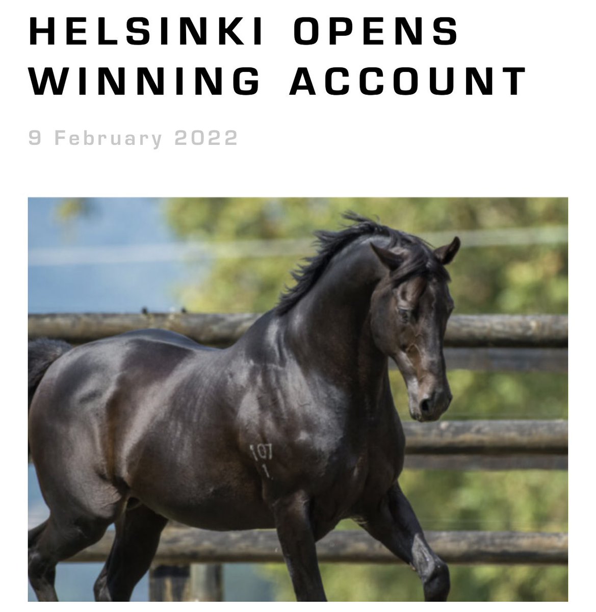 WS bred daughter of Savabeel, Helsinki produced a front-running performance at Ruakaka on Wednesday afternoon to open her winning account for trainers Peter and Dawn Williams.

Read more: https://t.co/hA0OtG3z2C https://t.co/cyJBd4cvlH