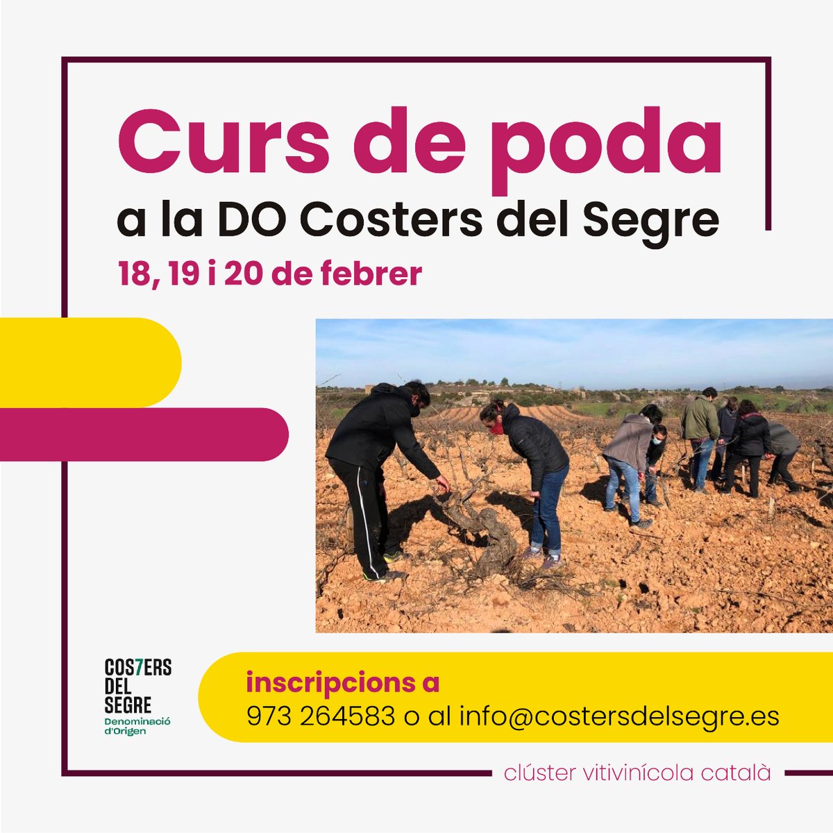 🍇 CURS DE PODA de respecte a la <a href="/DO_CostersSegre/">DO Costers del Segre</a> 
📆 18 al 20 de febrer

INSCRIPCIONS:
☎️ 973 264583
📤 info@costersdelsegre.es

Aquest mètode assegura una millor longevitat de les vinyes, minimitzant els problemes de malalties de la fusta i millorant la salut de la planta.