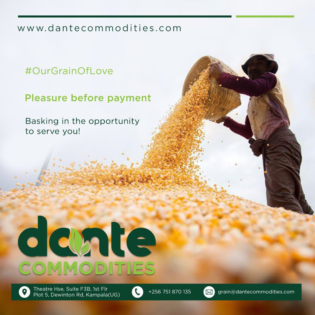 #OurGrainOfLove

Our dedication in the opportunity to serve you is like no other; it’s pleasure 😋 before payment!

Get your grain on the go🚛 with us!

Call us on: +256-751 870 135
🌐 dantecommodities.com

#DanteCommodities #GrainOfLove #GrainOnTheGo #Beans #Coffee #Wednesday