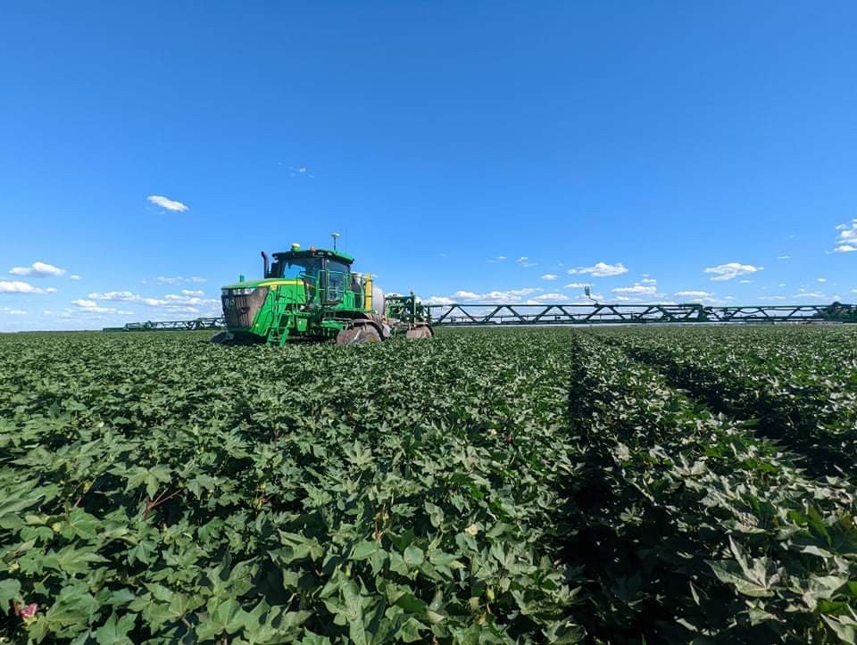 IREC Whitton Field Station #Cotton #Update! Growth Regulator Rx-380 was sprayed over cotton block D @ 200ml/ha for cut out. Flowable fert. #nitrogen was applied over block B. @houghton_rob50 @CottonAustralia @CottonInfoAust @SG_NSW @nswdpi @IrrigatedCC @Irrigation4P @csd_cotton