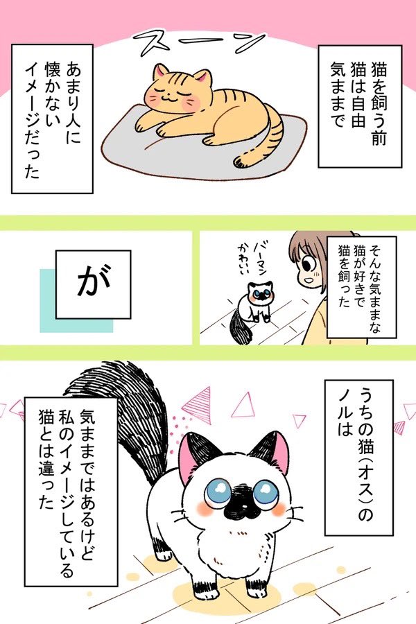 【創作】猫を飼ったけど、思っていたのと違うという話 