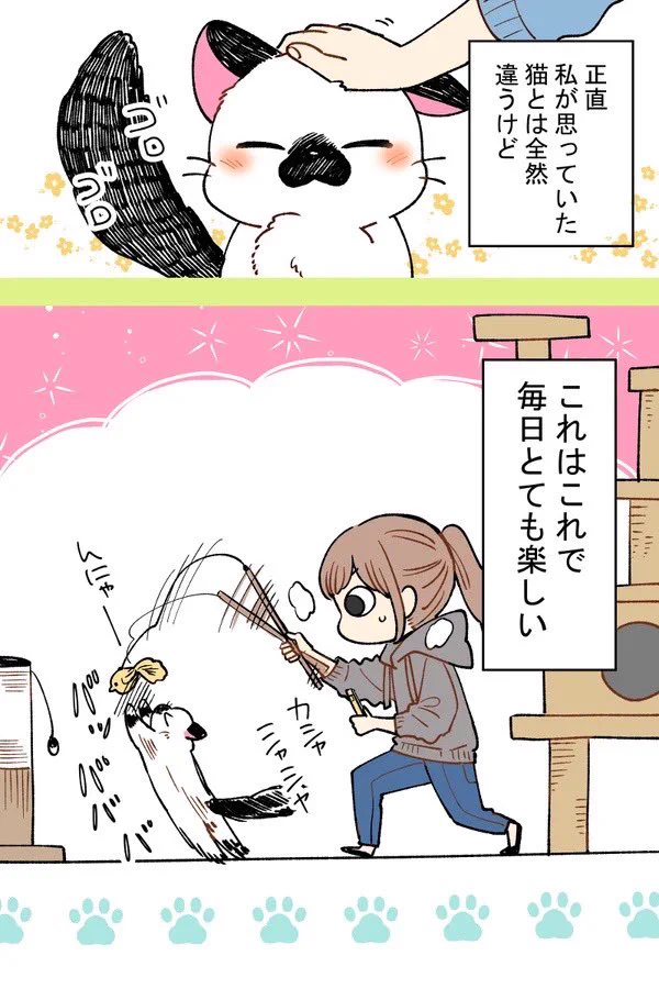 気ままな猫が好きで猫を飼ったけど思ってたのと違うwwwこれはこれで良い誤算！！