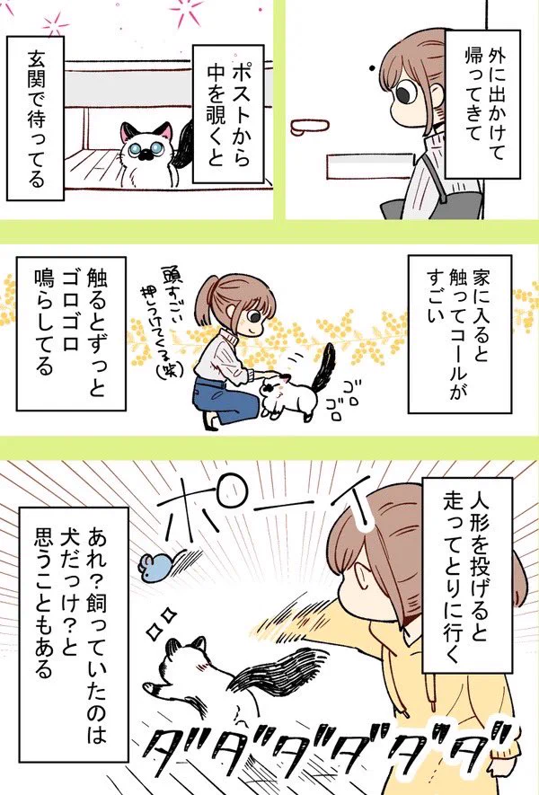 気ままな猫が好きで猫を飼ったけど思ってたのと違うwwwこれはこれで良い誤算！！