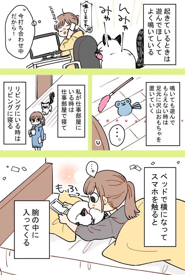 気ままな猫が好きで猫を飼ったけど思ってたのと違うwwwこれはこれで良い誤算！！