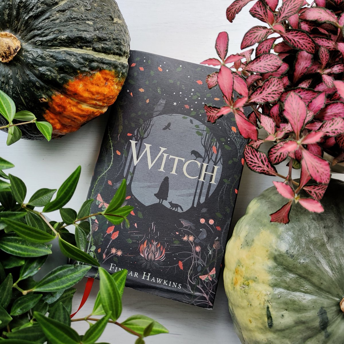 📣 #Giveaway Alert 📣 

#Win a hardback copy of the wondrous #CKG22 nominated #Witch

Raw, mystical, exciting and pacy, enter Evey & Dill’s world... 🍂✨🦅 

RT and follow to be one of our 3 winners 📚 

[UK only, T&Cs: bit.ly/3rPf1Yt]

@finbar_hawkins