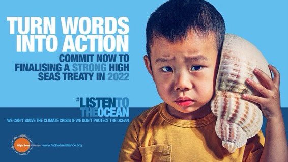 It’s crucial the world leaders turn words into action at the #OneOceanSummit to protect the high seas. #HighSeasTreaty #ListentotheOcean 🌍🐋🌊
