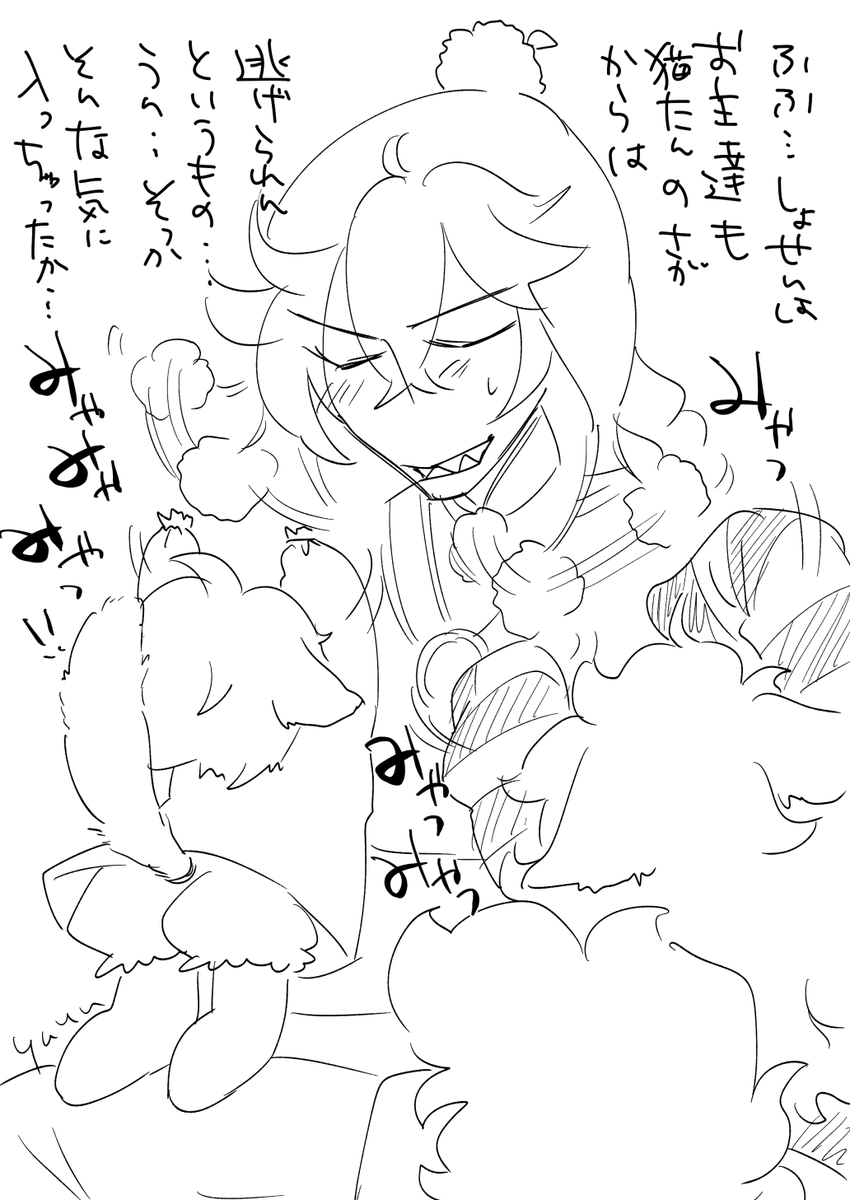 猫なので 