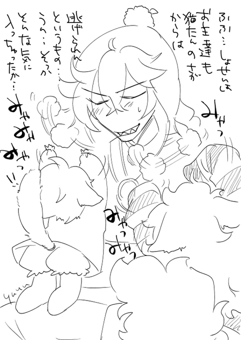 猫なので 