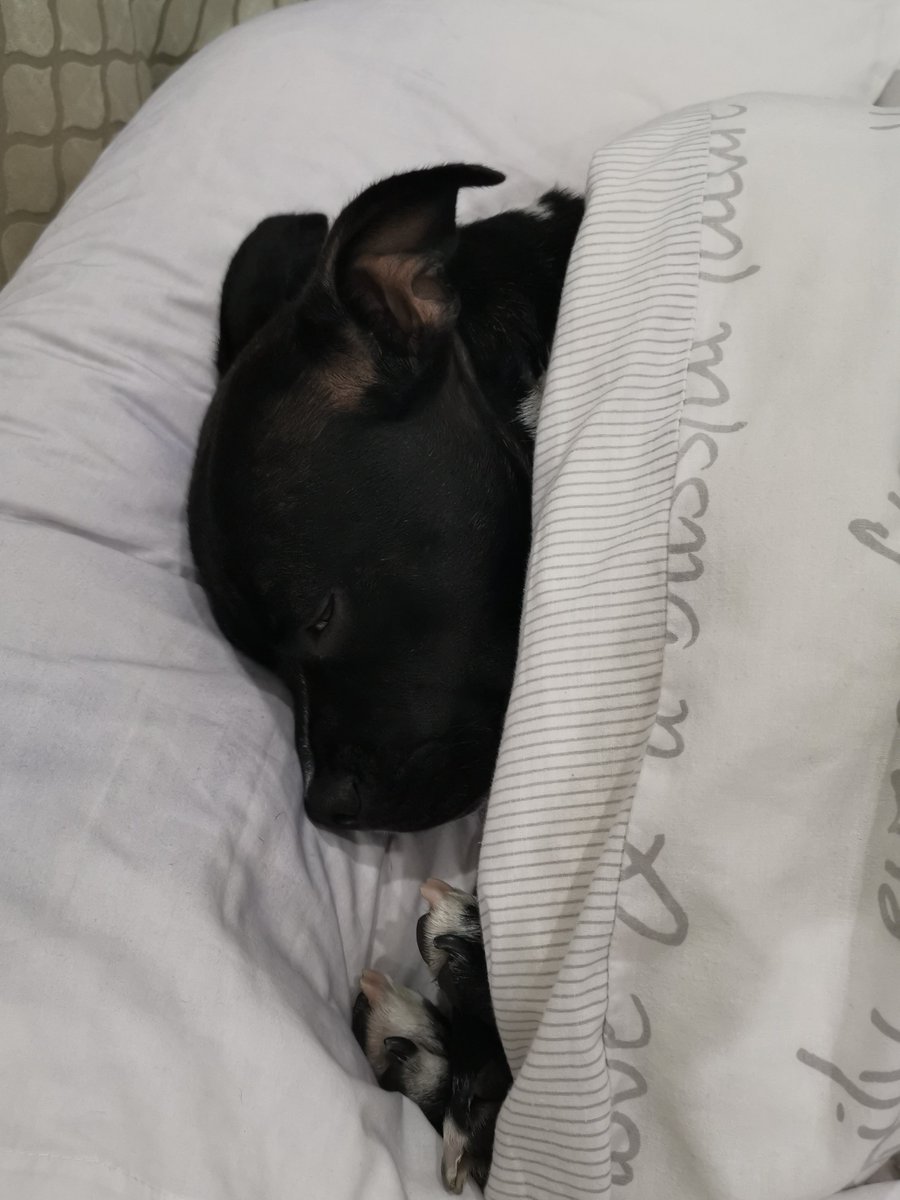 Maddy 🌻 tweet media