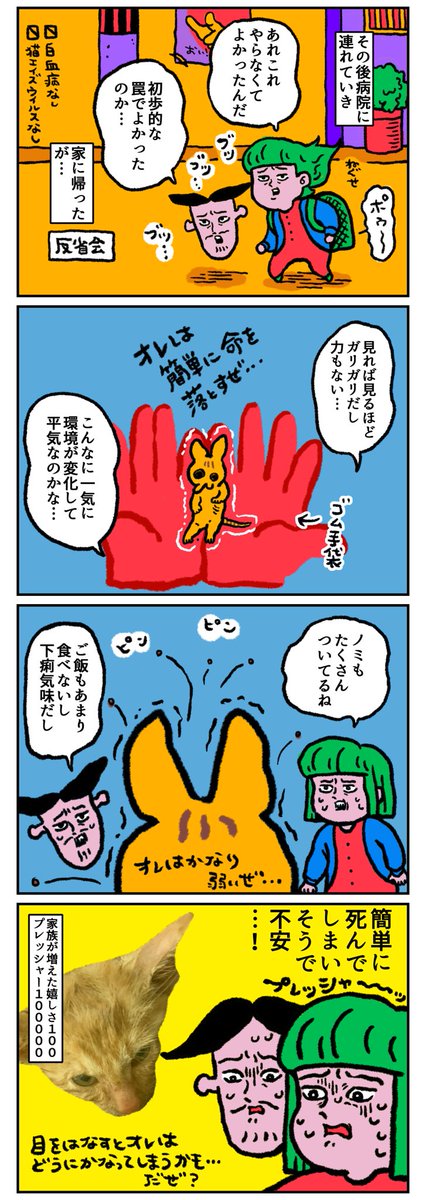 ひとりぼっちの子猫を捕まえる話③
家族が増えました 