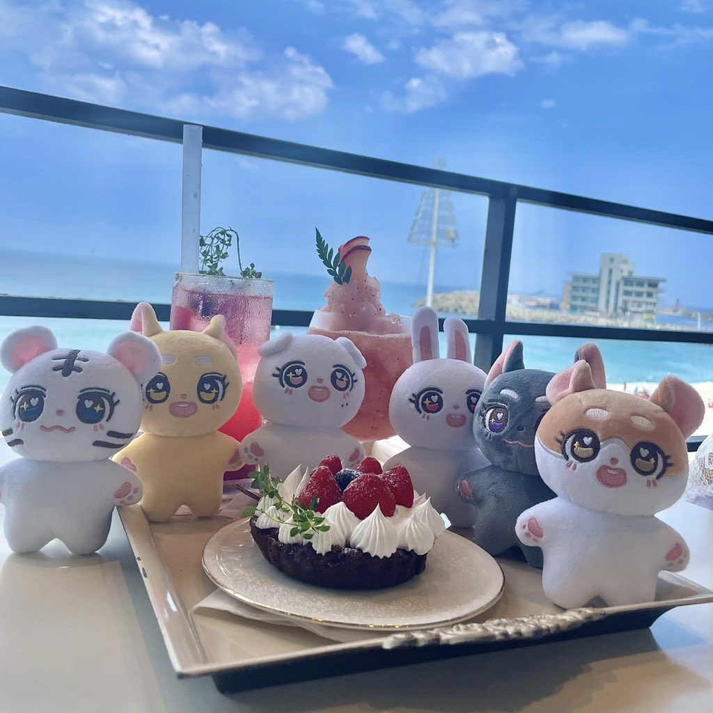 스테이쥬 STAY ZOO (배송 중) tweet media