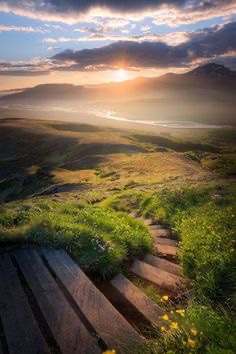 💛
#nature #sunrise