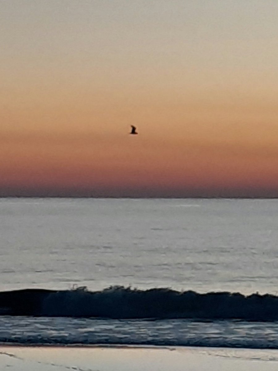 Good morning from Ocean City, Maryland