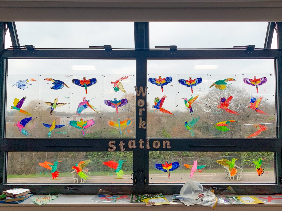 Vibrant tropical bird displays from year 4 at Riverview participating in #RainforestRetreat. Over the last six weeks the children have been busy creating 2D and 3D projects to turn their classroom into a colourful tropical rainforest!  

#DelightCharity @HannahPaintbox