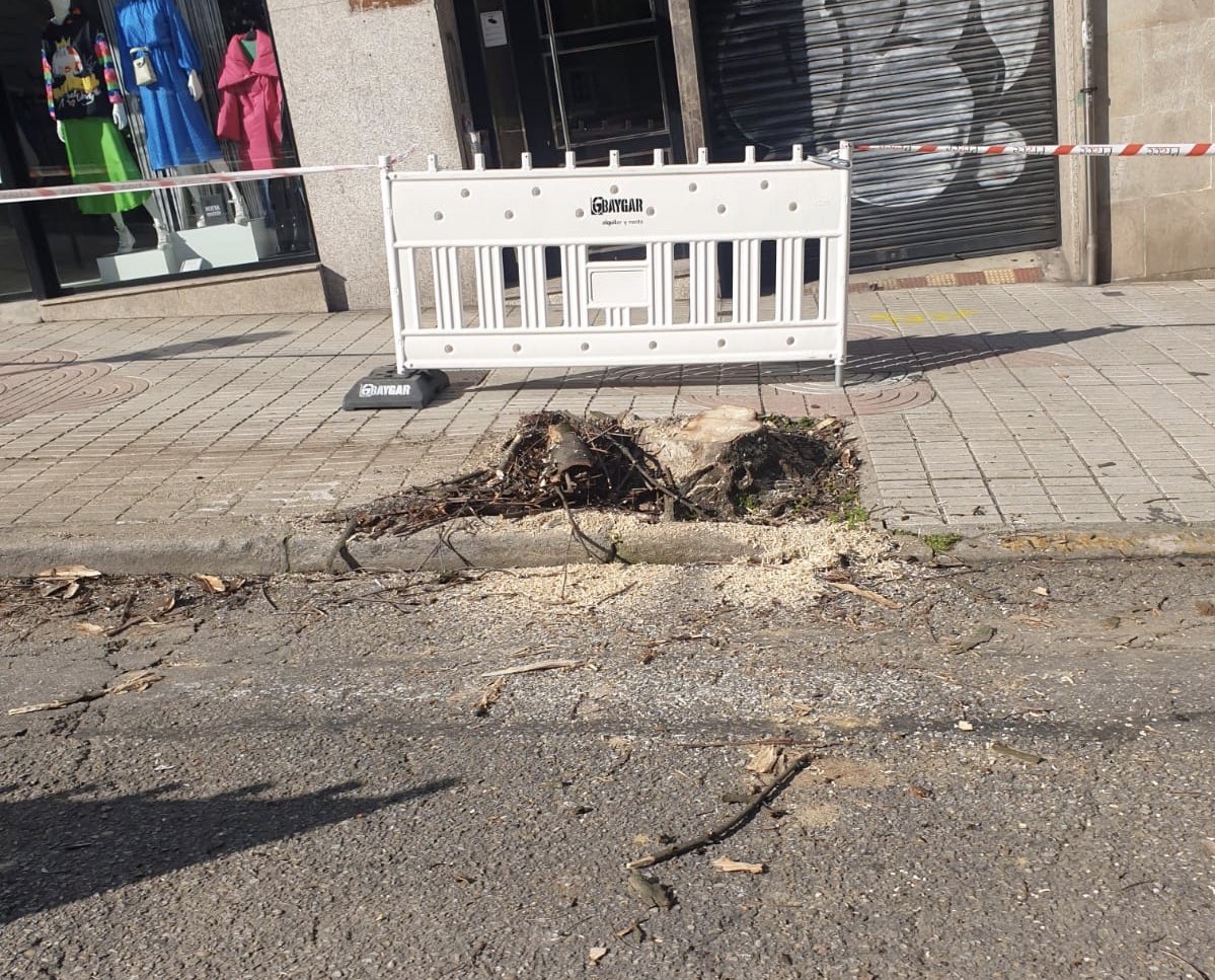 Máis de 20 castiñeiros de indias, camelias e laranxos

Segue a desarborización da Gran Vía de Vigo ,,,,, <a href="/Vigoblog/">Vigoblog</a> <a href="/mistervigo02/">Samuel Fdez. Torre - Mr. Vigo</a> #Vigo <a href="/coagvigo/">COAG Vigo</a> <a href="/pgsarria/">Paco  Sarria</a> <a href="/COAGPontevedra/">COAGPontevedra</a> <a href="/MiguelComesanaa/">Miguel Comesaña</a> <a href="/AnaGarc92617021/">Ana Beatriz García Román</a>
