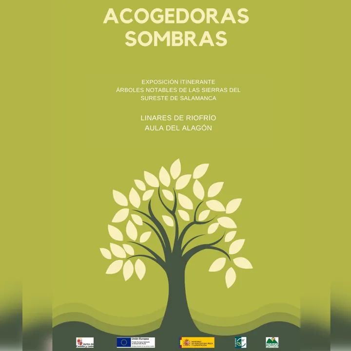 Este domingo de 10 a 13 podrás visitar en el Aula de Linares de Riofrío (Salamanca) la exposición "Acogedoras Sombras”. Y si lo deseas puedes solicitar una interpretación de la exposición, totalmente gratuita.

¡Te esperamos!

Organizador de la exposición: <a href="/grupoadriss/">Adriss</a>