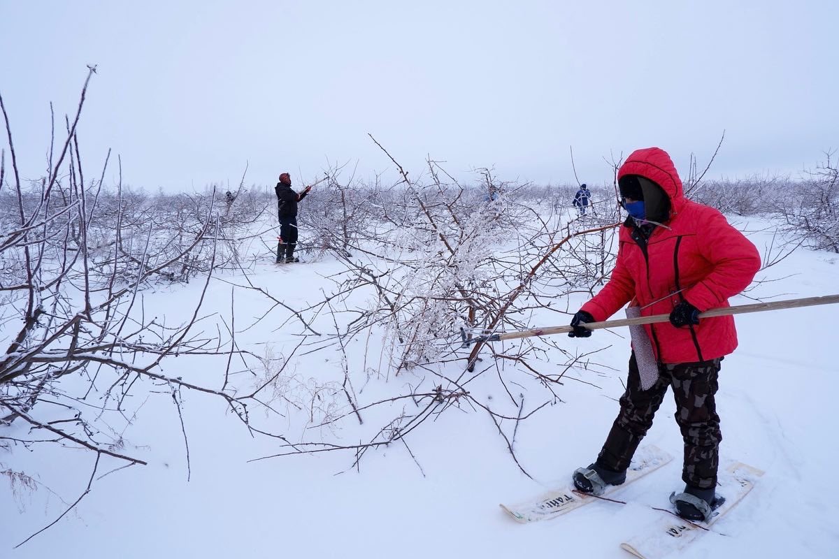 Агро-Информ 63 tweet media