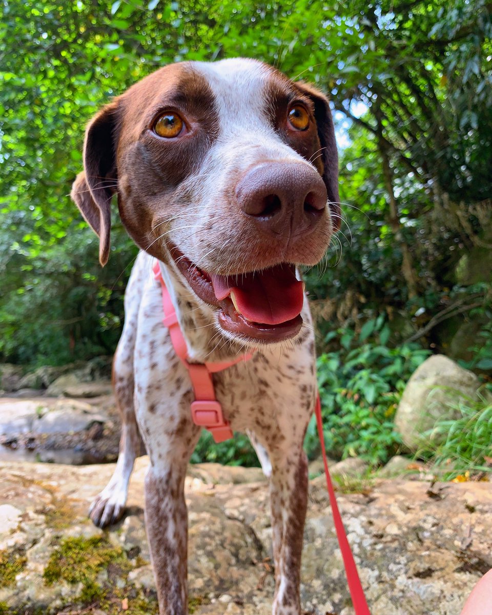 LUKE & ARYA tweet media