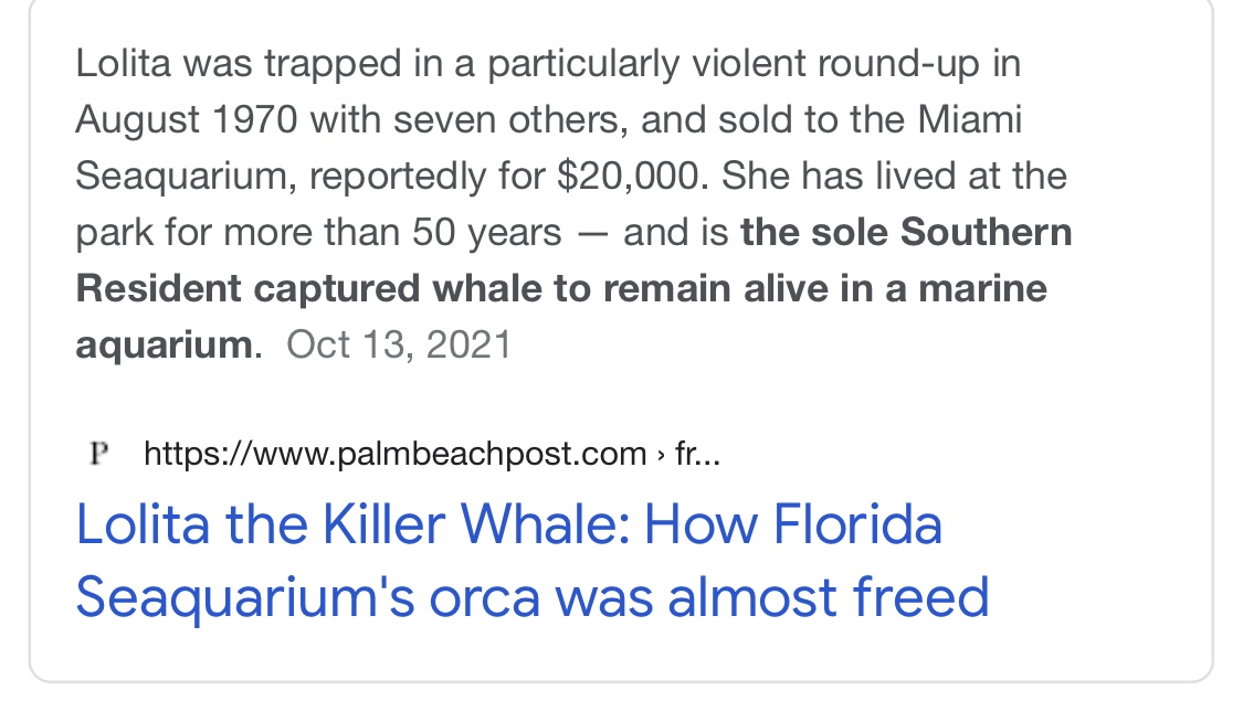 <a href="/_PeggyOki/">Peggy Oki</a> <a href="/Voice_OT_Orcas/">Voice of the Orcas</a> <a href="/jeffrey_ventre/">Jeffrey Ventre</a> <a href="/TheOrcaProject/">The Orca Project</a> <a href="/OrcaSOS/">Orca S※O※S</a> <a href="/scanme_tukslaw/">Tuks Law</a> <a href="/muchoray/">Ray🌏</a> <a href="/H_Combs/">Holly Marie Combs</a> IF”LOLITA”DIES IN 
“MIAMI SEAQUARIUM’S”WATERY GRAVE⚰️,ITS ABSOLUTELY THEIR FAULT,&amp; THEY WILL RUE THE DAY🌪.SHE’S A PRISONER 50 YRS‼️
☠️MIAMI SEAQUARIUM☠️
HOW MANY POUNDS OF FLESH DO YOU WANT⁉️
GIVE US CHANCE 2 SEND OUR OWN VET‼️
IF YOU’VE DONE NOTHING,YOU HAVE NOTHING 2 HIDE🤥