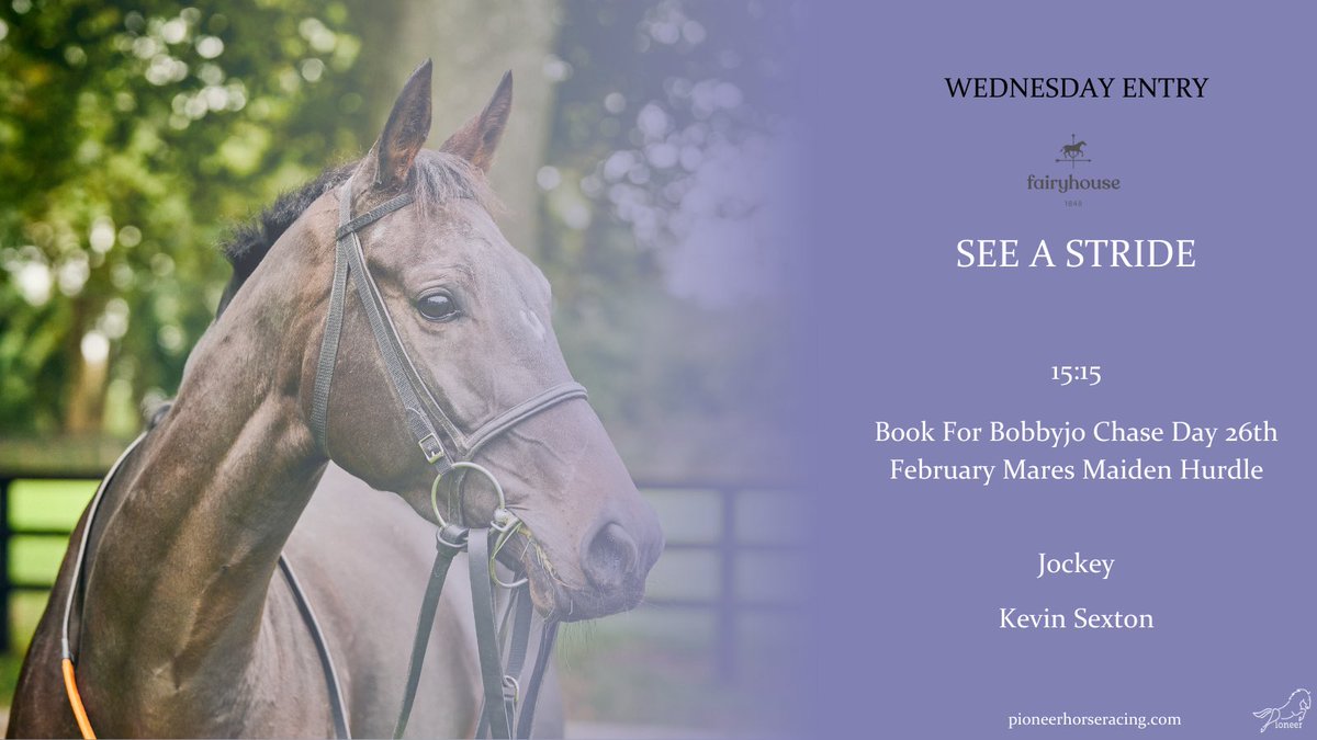 𝐒𝐄𝐄 𝐀 𝐒𝐓𝐑𝐈𝐃𝐄 

Runs <a href="/Fairyhouse/">FairyhouseRacecourse</a> today

15:15 - Book For Bobbyjo Chase Day 26th February Mares Maiden Hurdle 
Under <a href="/kevinsexton94/">Kevin Sexton</a> 

Good luck to all our owners involved 🤩🤞🏻

#pioneerracing #racehorseownership 
Pioneerhorseracing.com
