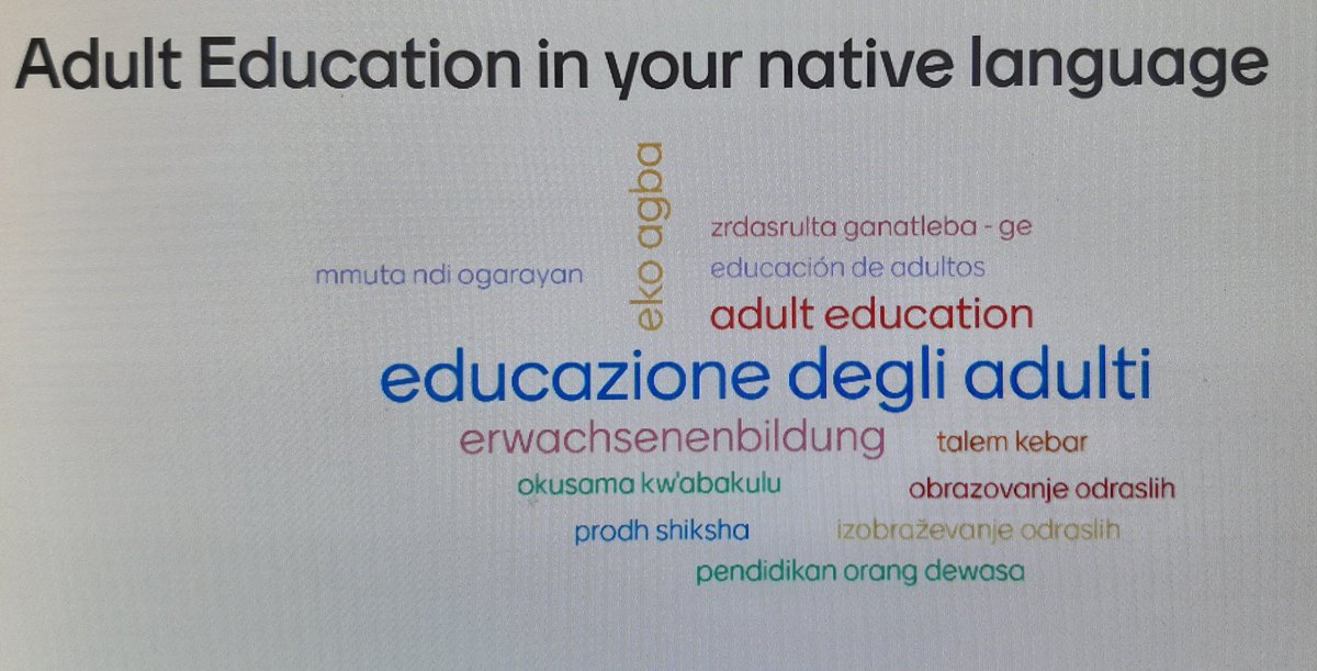 Starting the #AEAcademyWue today having an interesting insight into what adult education is named in the different countries the participants coming from
#EBWuerzburg