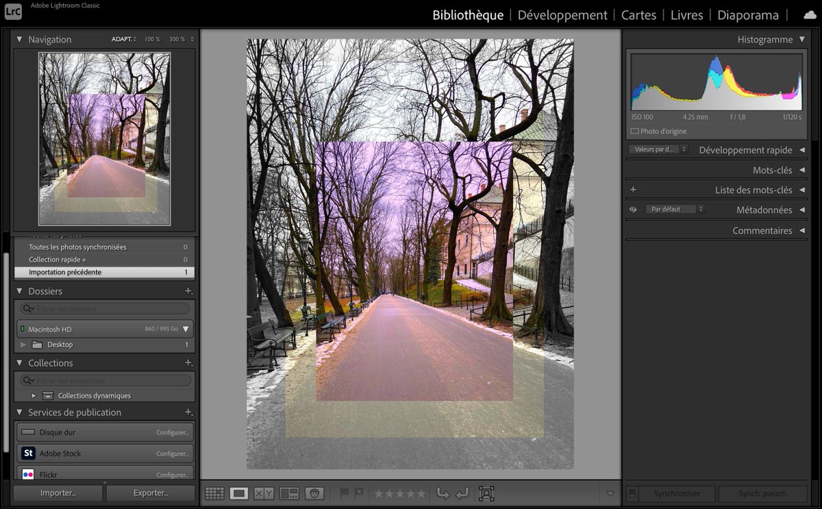 Agence_Apollo's tweet photo. Improving picture on @Lightroom
- https://t.co/GbyMuyIisj -
#ApolloCOM #PictureOfTheDay #webagency https://t.co/jUm51pJEUx