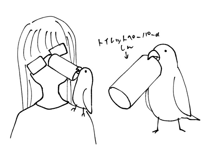 インコにトイレットペーパーの芯あげたら顔にめりこませに来るから回収した 