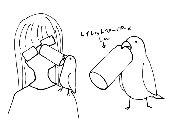 インコにトイレットペーパーの芯あげたら顔にめりこませに来るから回収した 