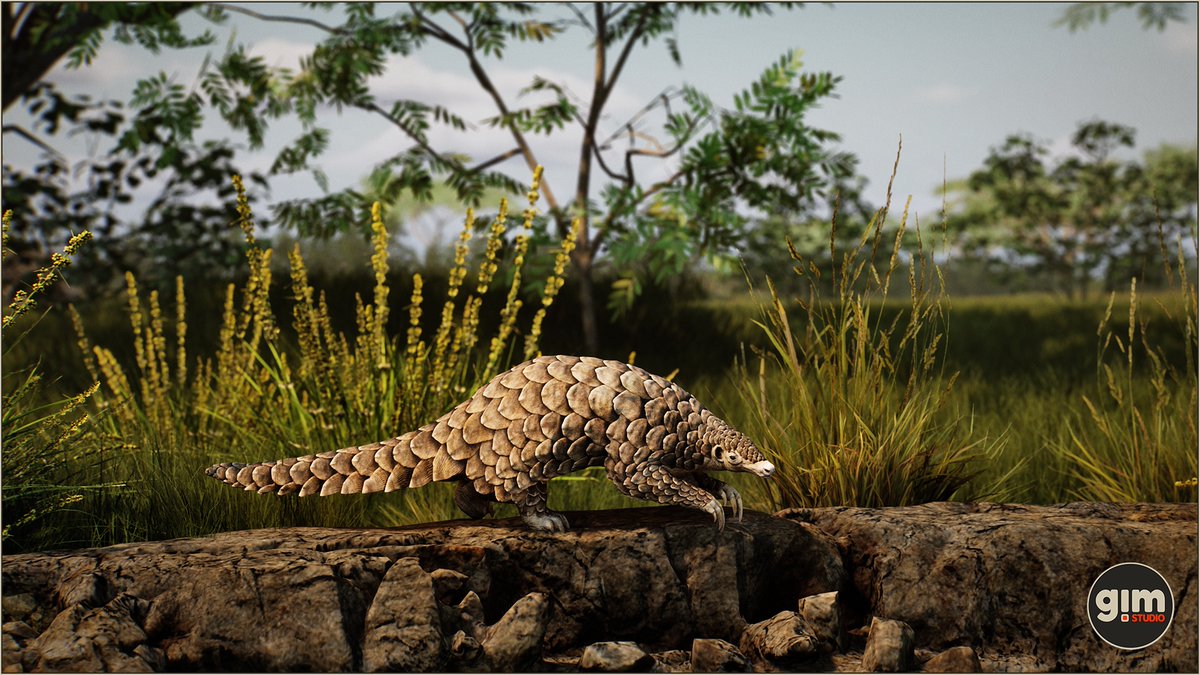 GiManimations's tweet photo. #pangolin #animalia #gameart #UnrealEngine #unity3d https://t.co/3Oz7c66m5I