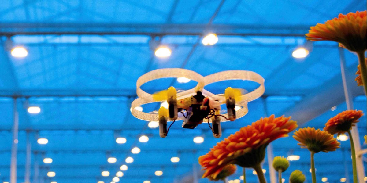 @GlastuinbouwNL, <a href="/GreenportA/">Greenport Aalsmeer</a> en VNO-NCW Westland-Delfland slaan via #CollegeTour2022 de handen ineen om jong, nieuw talent te koppelen aan glastuinbouwondernemingen. Lijkt het je leuk om als bedrijf deel te nemen? ⇨ Stuur dan een e-mail naar collegetour@glastuinbouwnederland.nl.