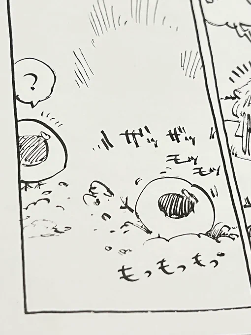 これは営巣するいくら 