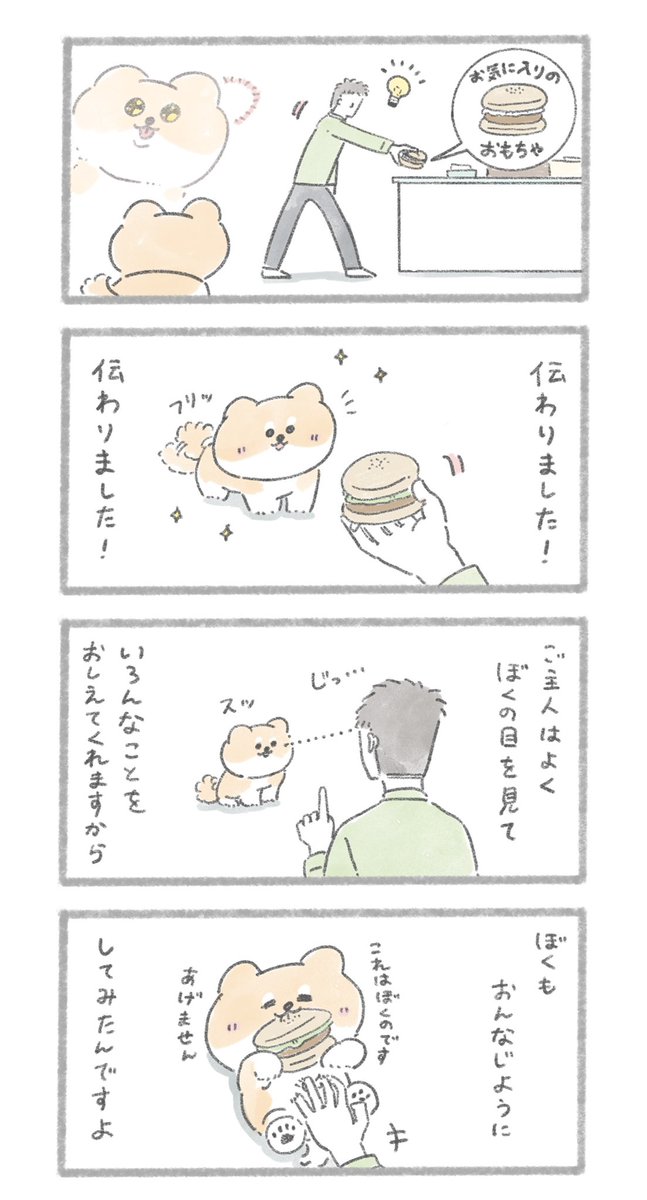 アイコンタクトで訴える柴犬さん
#こんにちはいぬです 