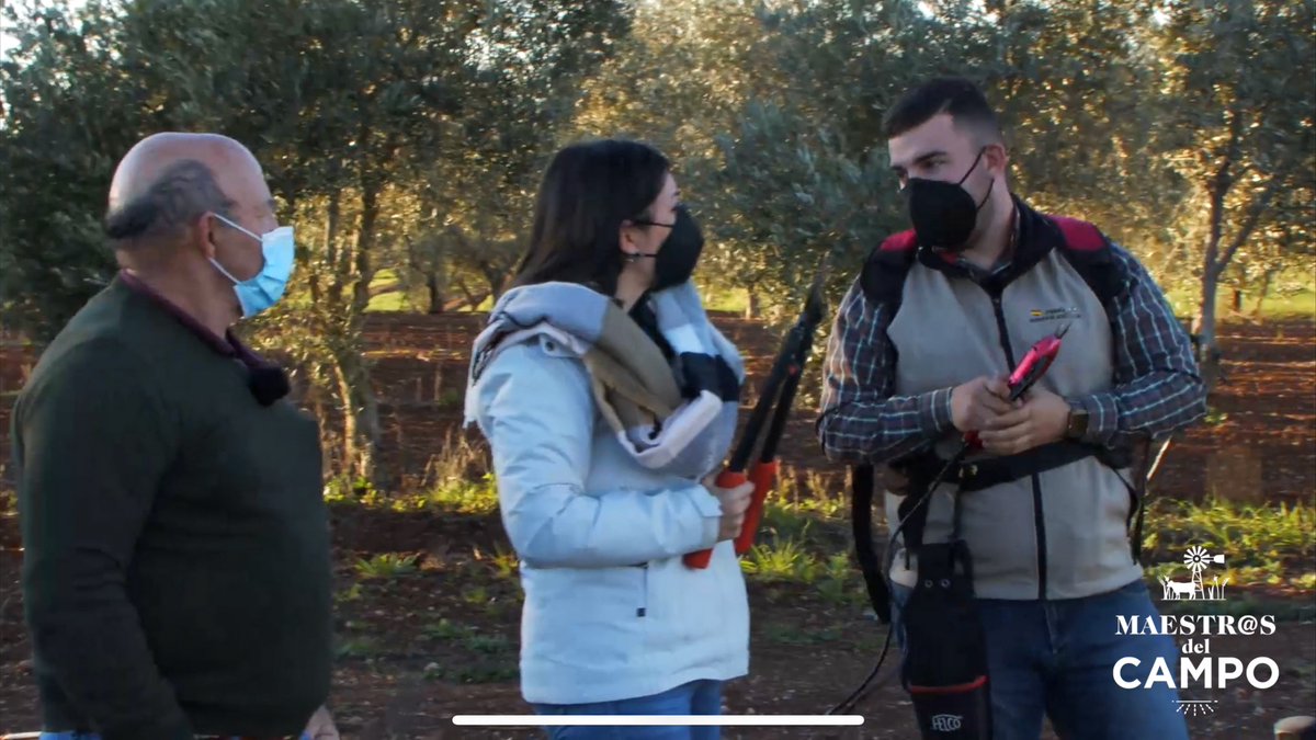 maestroscampo's tweet photo. 🔴 EN DIRECTO en 
 https://t.co/438l7wOq4F
¿Pistachos en Extremadura? 😲🤩
 Y si están así los árboles ¿Para cuándo darían frutos?
Ah vale, ahora nos lo cuenta Isaac.
#ganadería #agricultura #Campo #Extremadura https://t.co/5NxEA4R3A9