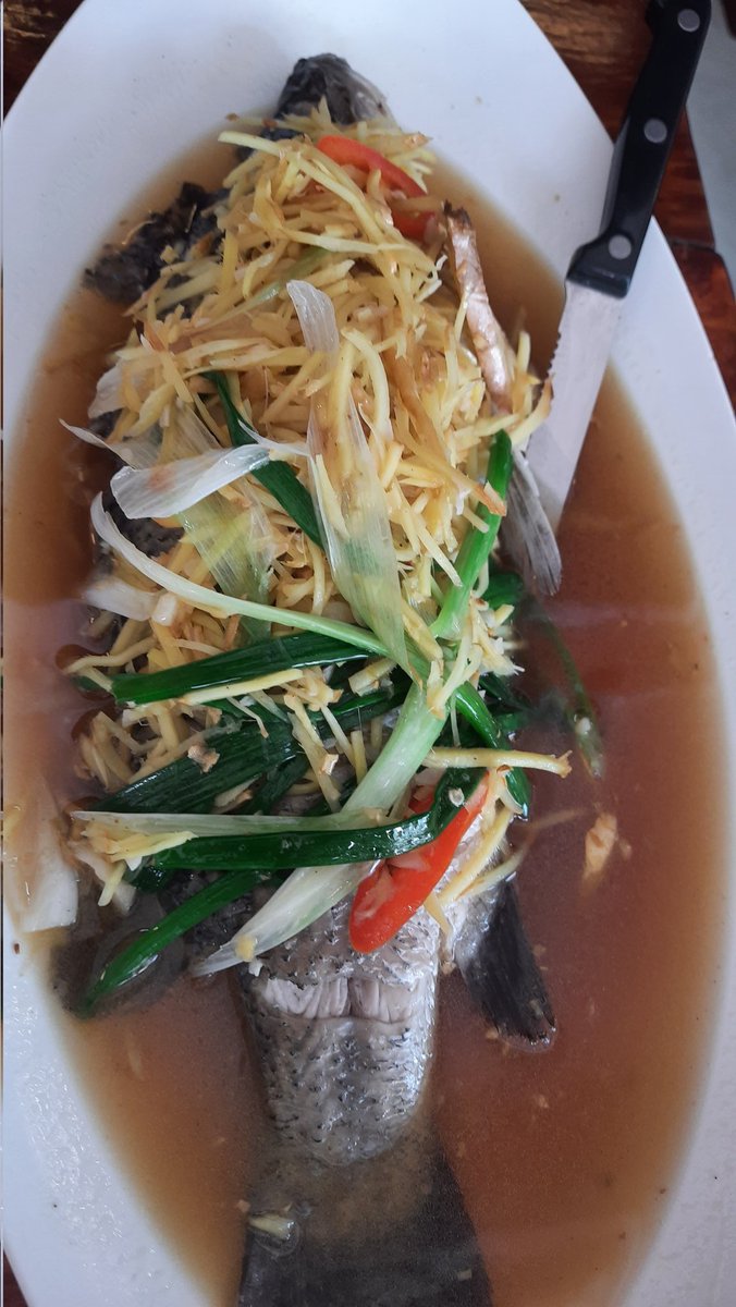jpegbooboo's tweet photo. Sea Bass is now my favorite comfort food. Wish it has NFT thing. https://t.co/gHhYv6OrQl
