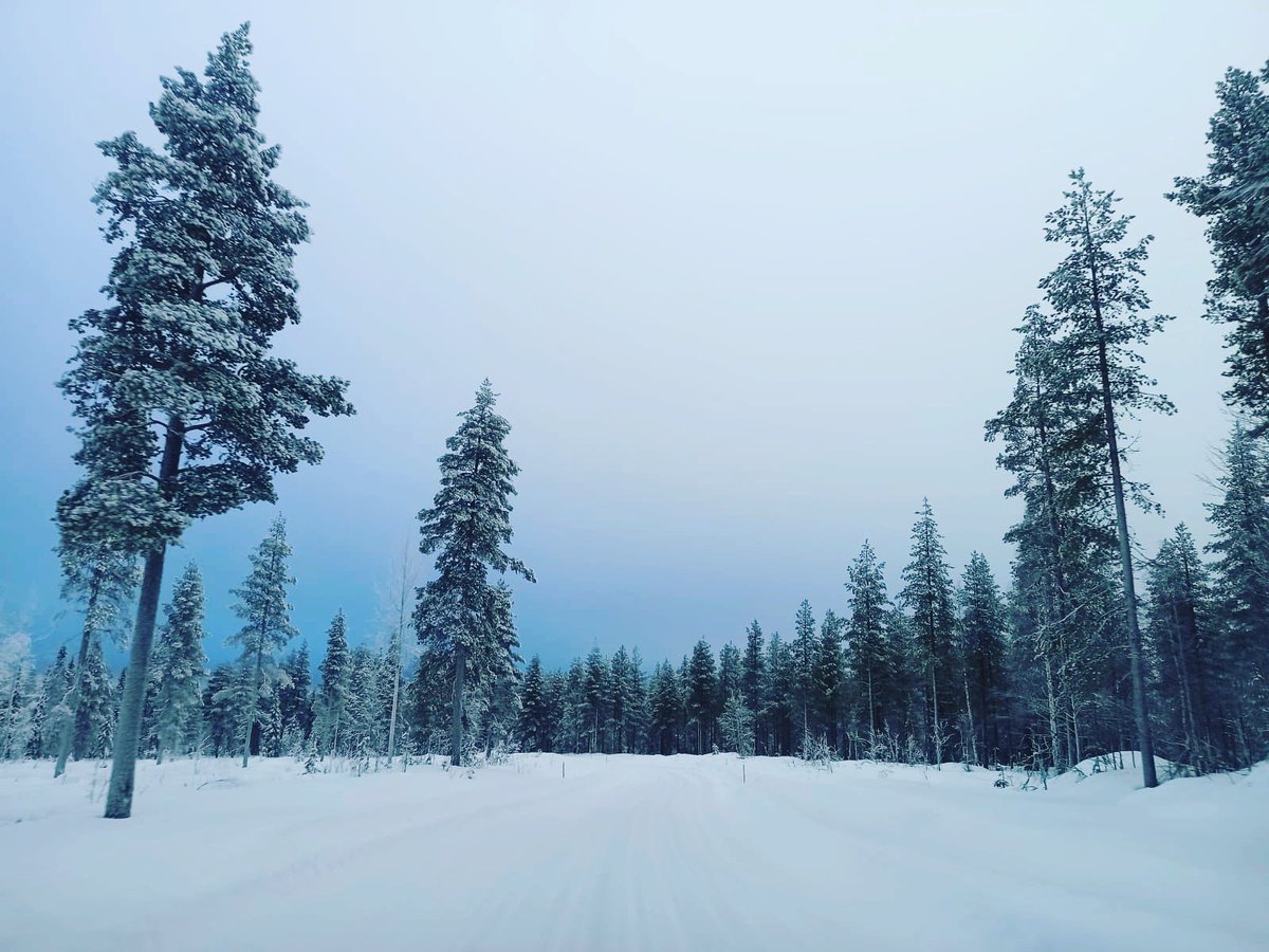 CritProductions's tweet photo. 🇫🇮❄️🚗And our #winter #mining journey continues! #backontheroad #whereistheroad 🤷🏼♀️
#finland #mininginfinland #brr #beautufulwinter https://t.co/UBSytYDVon