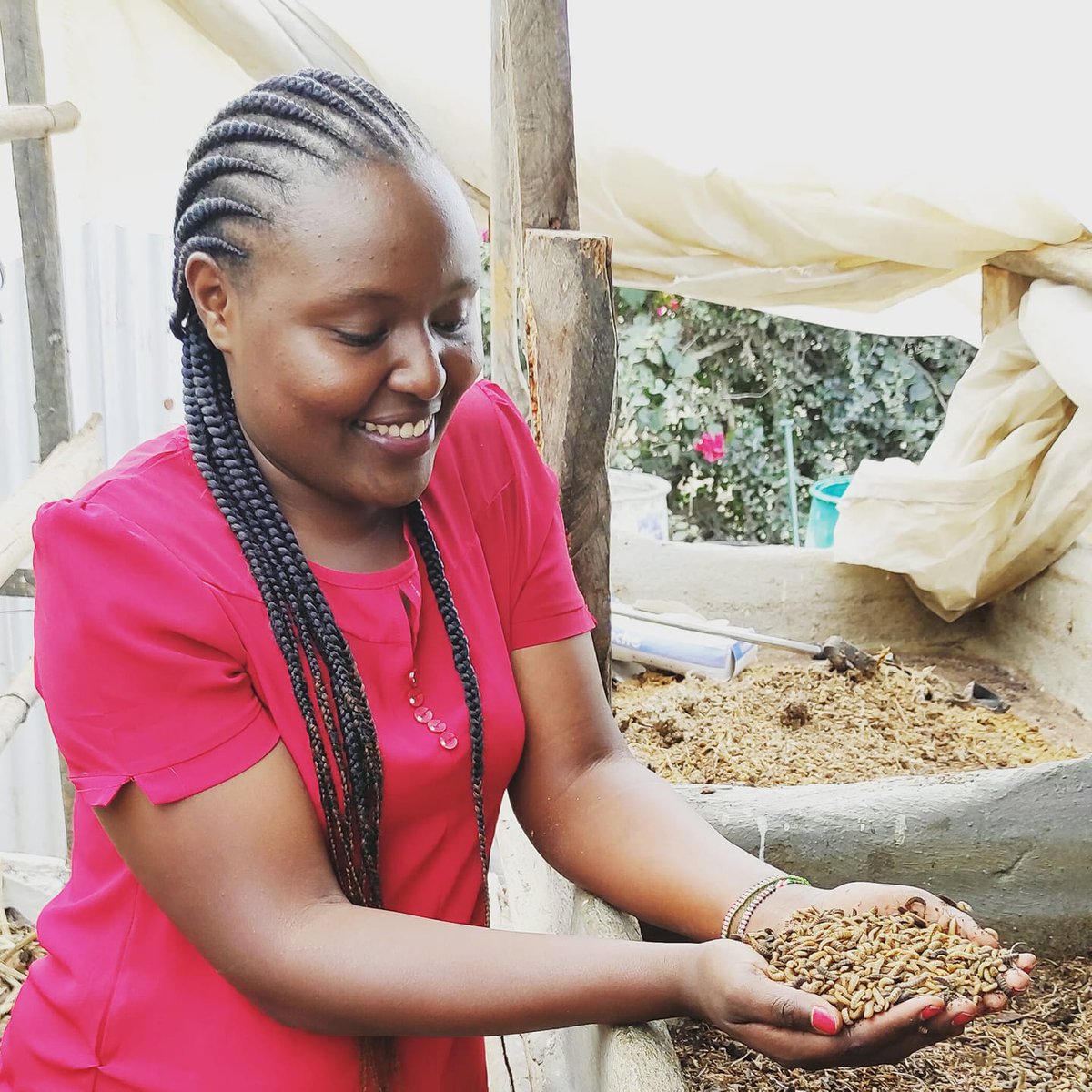 YaltaInitiative's tweet photo. #Agroecology is a way of farming that respects natural resources.Resulting in profitable produce&amp;healthy communities.@YaltaInitiative youth beneficiaries from #Kenya has made the different in this field of agroecology. Meet @MuthikeJannifer @dunross_kariuki ,others 4making deals https://t.co/1p7yPu1ZXU