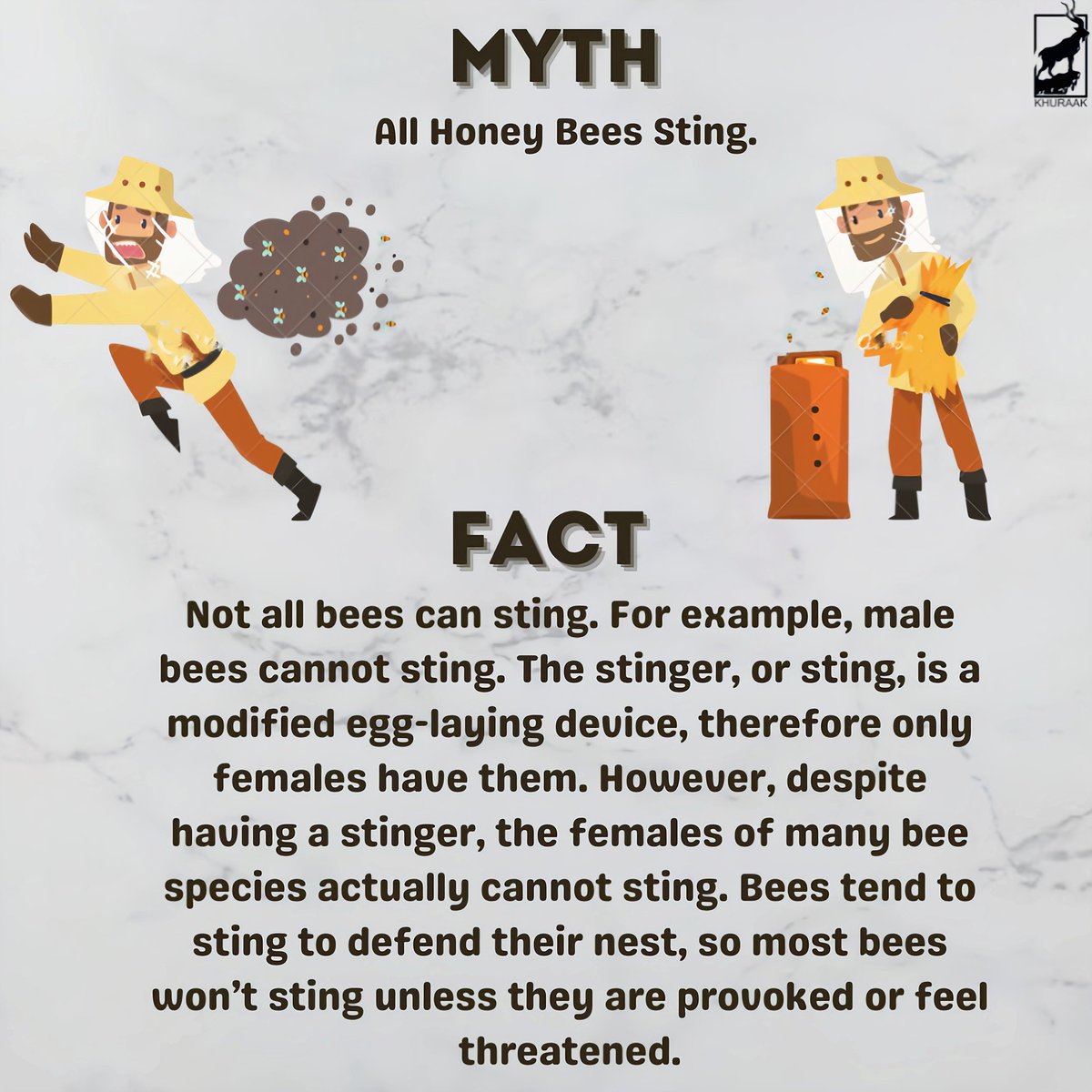 Myth vs Facts about Honey Bees.
#Honey #honeybee #myth #FactCheck