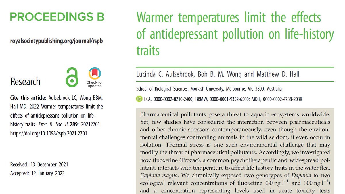 Lucinda Aulsebrook (@lcaulsebrook) on Twitter photo Excited to share my first research publication from my PhD! We found that environmental levels of antidepressant pollution altered life history traits in Daphnia, but higher temperatures reduced these effects. Read it here: royalsocietypublishing.org/doi/10.1098/rs… <a href="/MonashUni/">Monash University</a> Excited to share my first research publication from my PhD! We found that environmental levels of antidepressant pollution altered life history traits in Daphnia, but higher temperatures reduced these effects. Read it here: royalsocietypublishing.org/doi/10.1098/rs… <a href="/MonashUni/">Monash University</a>